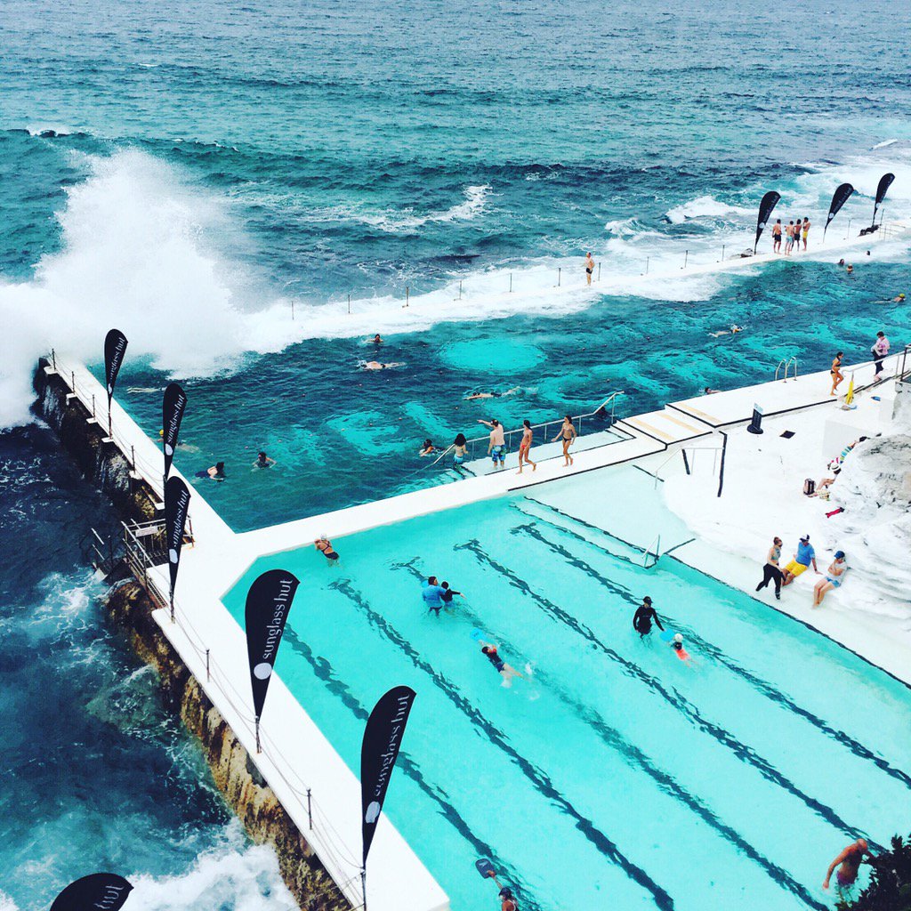 Rochelle Fox tweet media