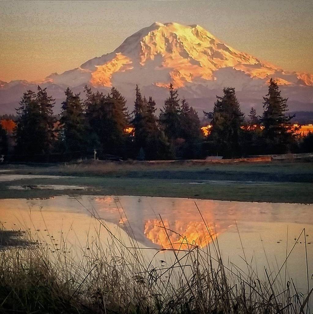 chinookpassnews's tweet photo. At https://t.co/cWRD1inTaa -- #mountain #mtrainier #mountrainier #reflection #mountainreflection #snowcapped #tree… https://t.co/ZApjNevmzw