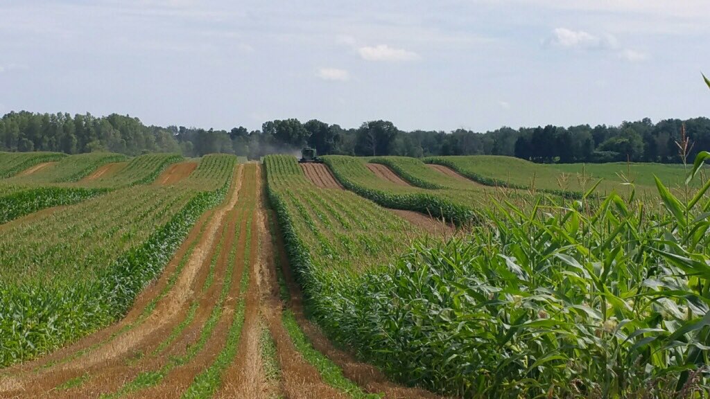 Tim Boring on Twitter: