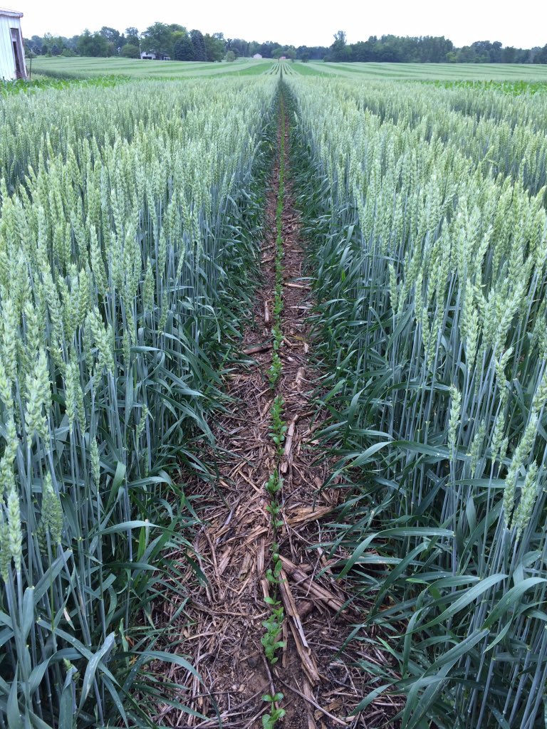 Tim Boring on Twitter: