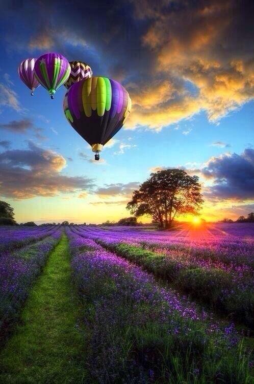 PardueSuzanne's tweet photo. Only those who will risk going
too far can possibly find out
how far one can go...
- T. S. Eliot https://t.co/3w8fSeUtFX