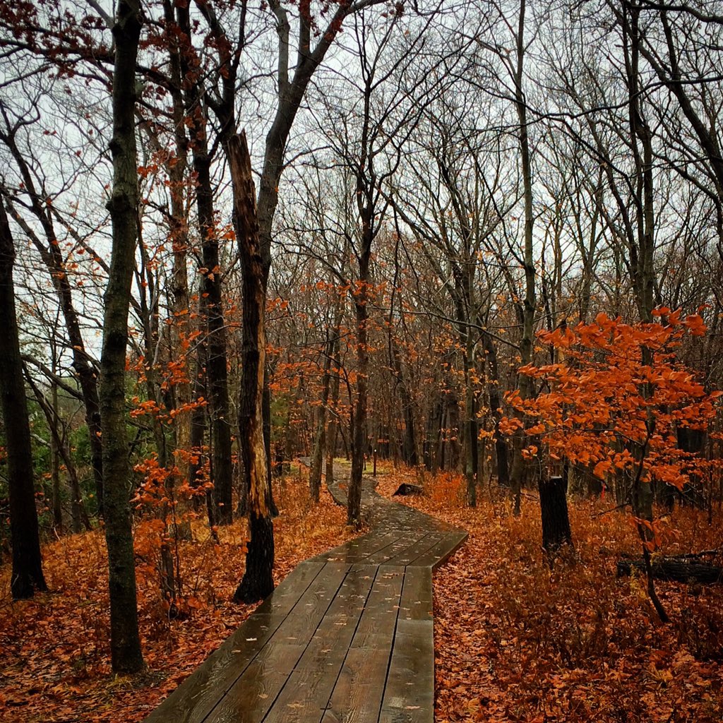 Bobbin_a_long's tweet photo. "In every walk with nature, one receives far more than [she] seeks" -John Muir #starvedrockstatepark #OptOutside https://t.co/70MWbfrJh4