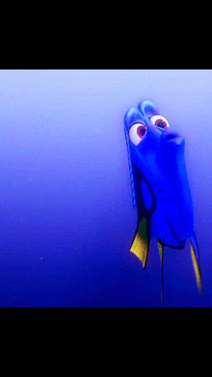 tallyer's tweet photo. I have found my spirit animal.
#problemBuddy?
#DOYADoYaDoYa? https://t.co/ROzvDLXT38