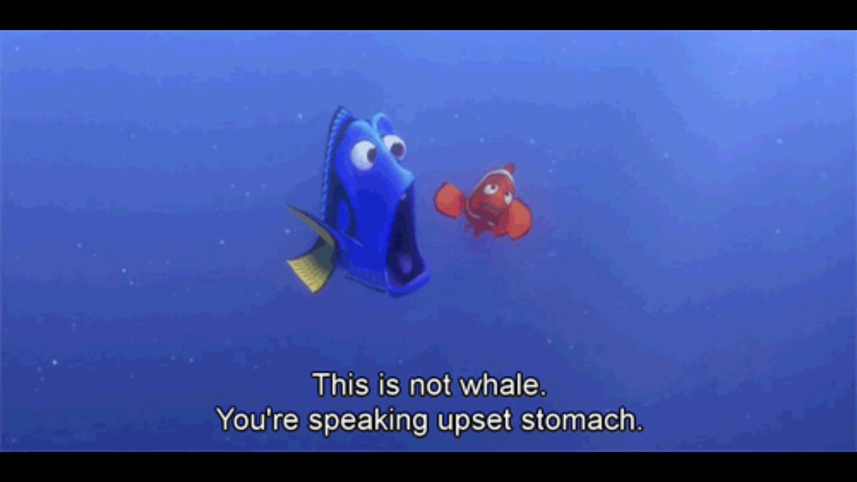 tallyer's tweet photo. I have found my spirit animal.
#problemBuddy?
#DOYADoYaDoYa? https://t.co/ROzvDLXT38