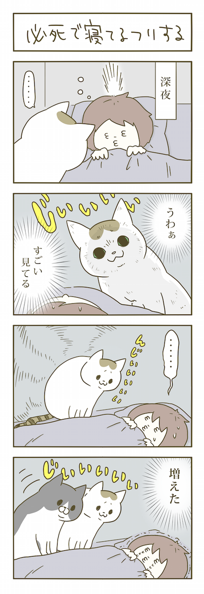 猫まんが。 