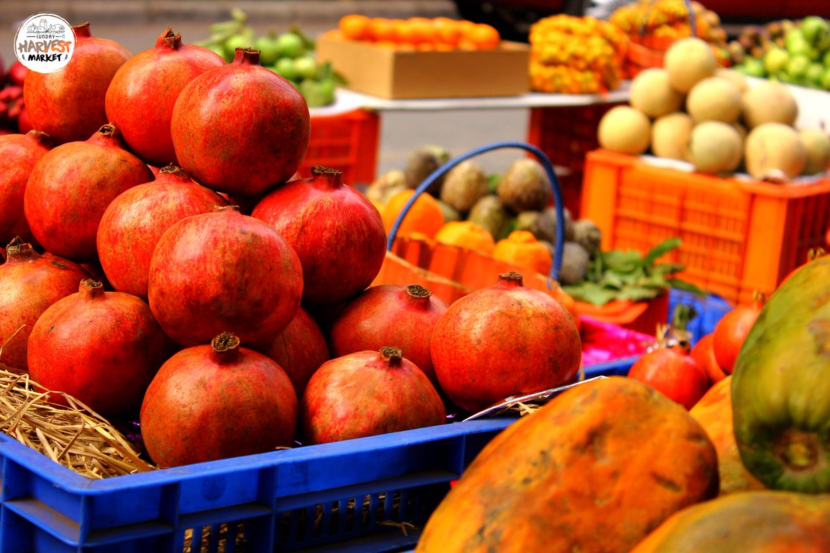 SHarvestMarket's tweet photo. Fresh fruits are good for you! And so the Sunday Harvest Market is good!
#sundayharvestmarket #fruits #fresh https://t.co/p9PGrUgVam