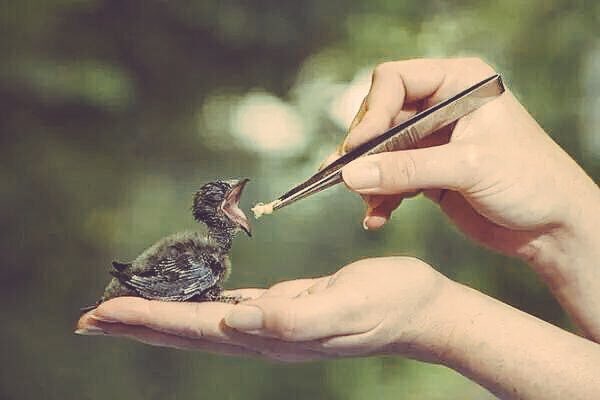 mom_paradise's tweet photo. لا تدري أيّ عمل يدخلك الجنّة "في كل كبد رطبة أجر https://t.co/La1tdXPdfz