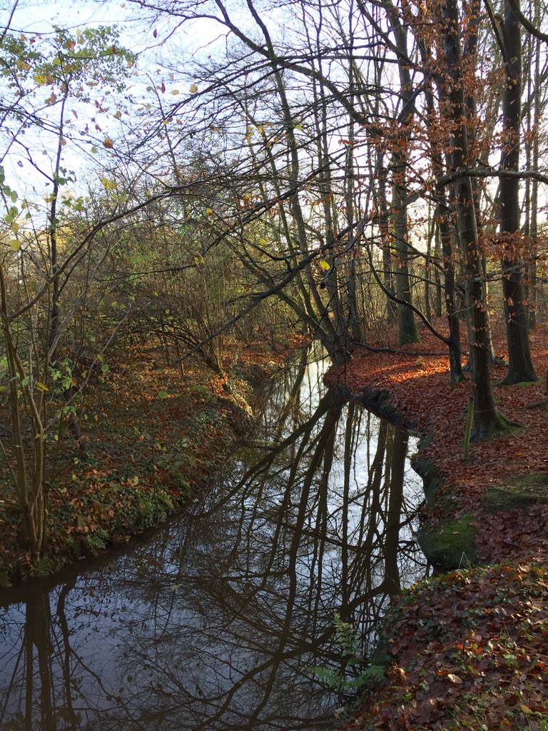 Heerlijk herfstweer.