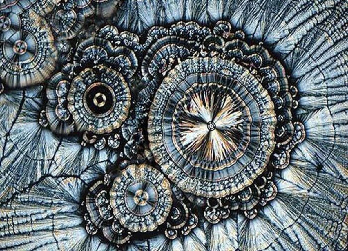 fizikist's tweet photo. C vitaminin mikroskop altındaki şaşırtıcı görüntüsü #cvitamini #microscopicimage #biology #fizikist https://t.co/a9uZLMhtDr