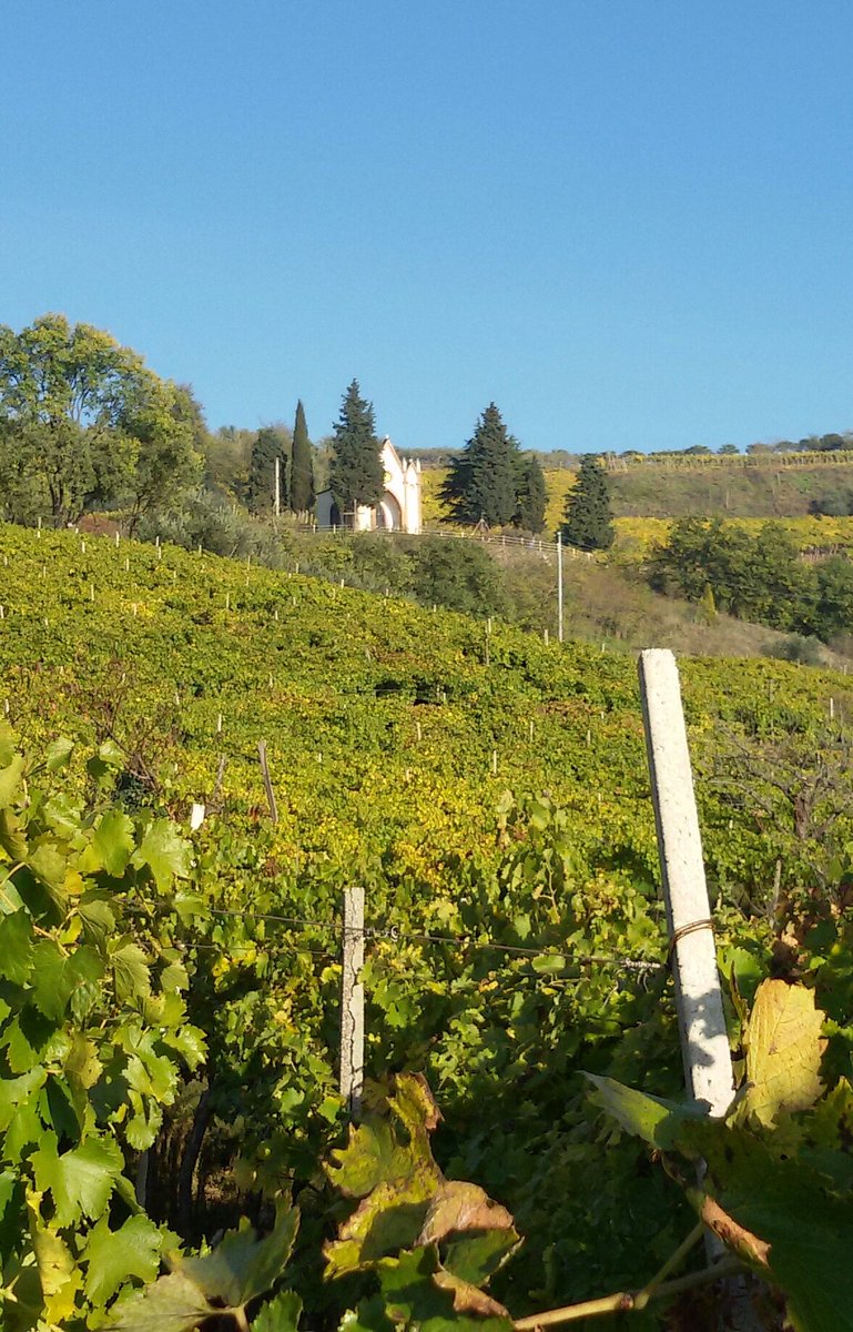 mr_rugi's tweet photo. #Terrossa #Colline del #Soave #autunno in #Veneto @TurismoVeneto @IatEstVeronese @IlSoave @amaveronags1 @venetolink https://t.co/t5m3QqjYhr