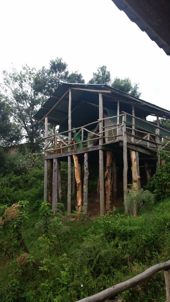 We stayed in some amazing jungle shacks out in Uganda this year. Some were over 2,300m above sea level