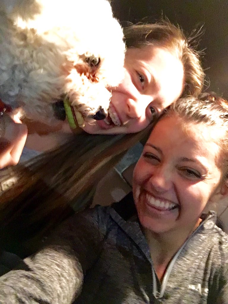 BaileyGumm's tweet photo. I went Black Friday shopping for my dog. This little guy runs my life!#mylittleman #mannimal https://t.co/moqejl8xjk