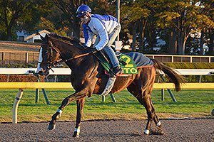 Sebastian Weiss tweet media