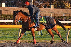 Sebastian Weiss tweet media