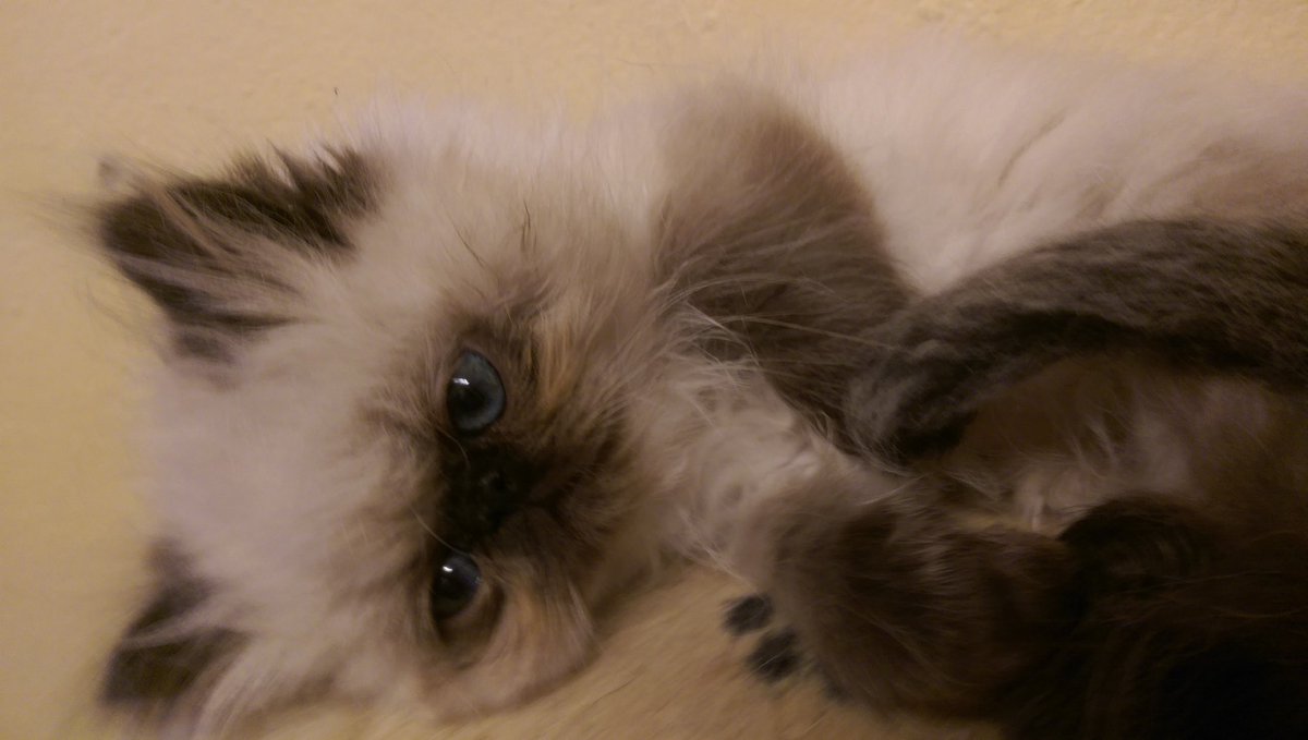 solox99's tweet image. How i love....&amp;lt;3