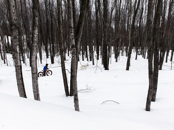 Trail dogs also like snow riding. Visit us for the best winter riding gear: pbxx.it/2ERsIf