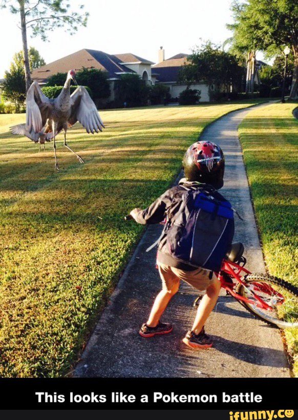 Amplify Nation tweet media