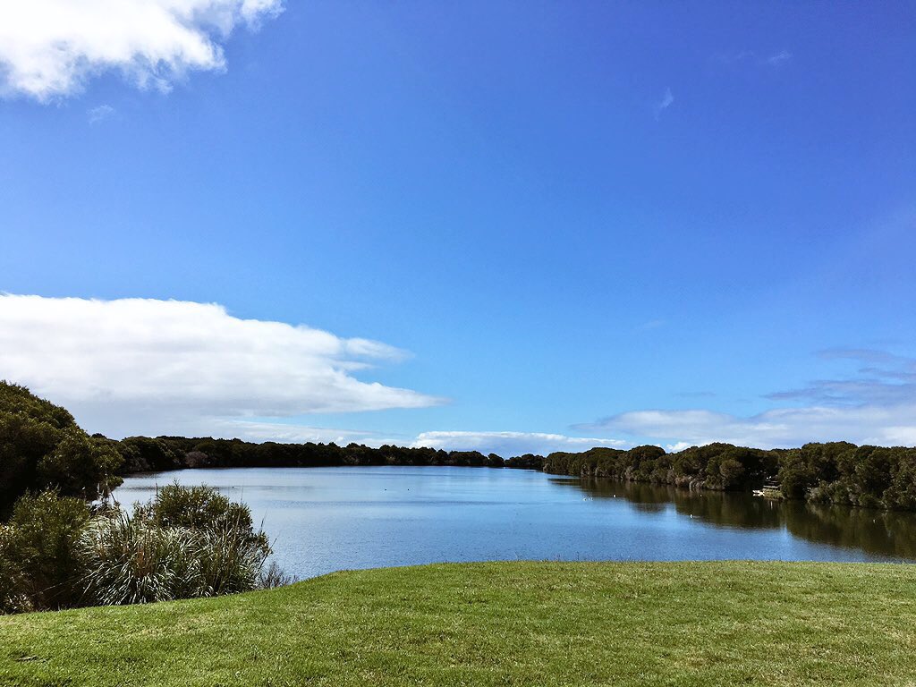ChauEunice's tweet photo. Phillip island motorsport🏁 #formulaford #phillipisland #phillipislandgrandprix #motorsport #Melbourne #Australia https://t.co/XG2GoYQ6sA