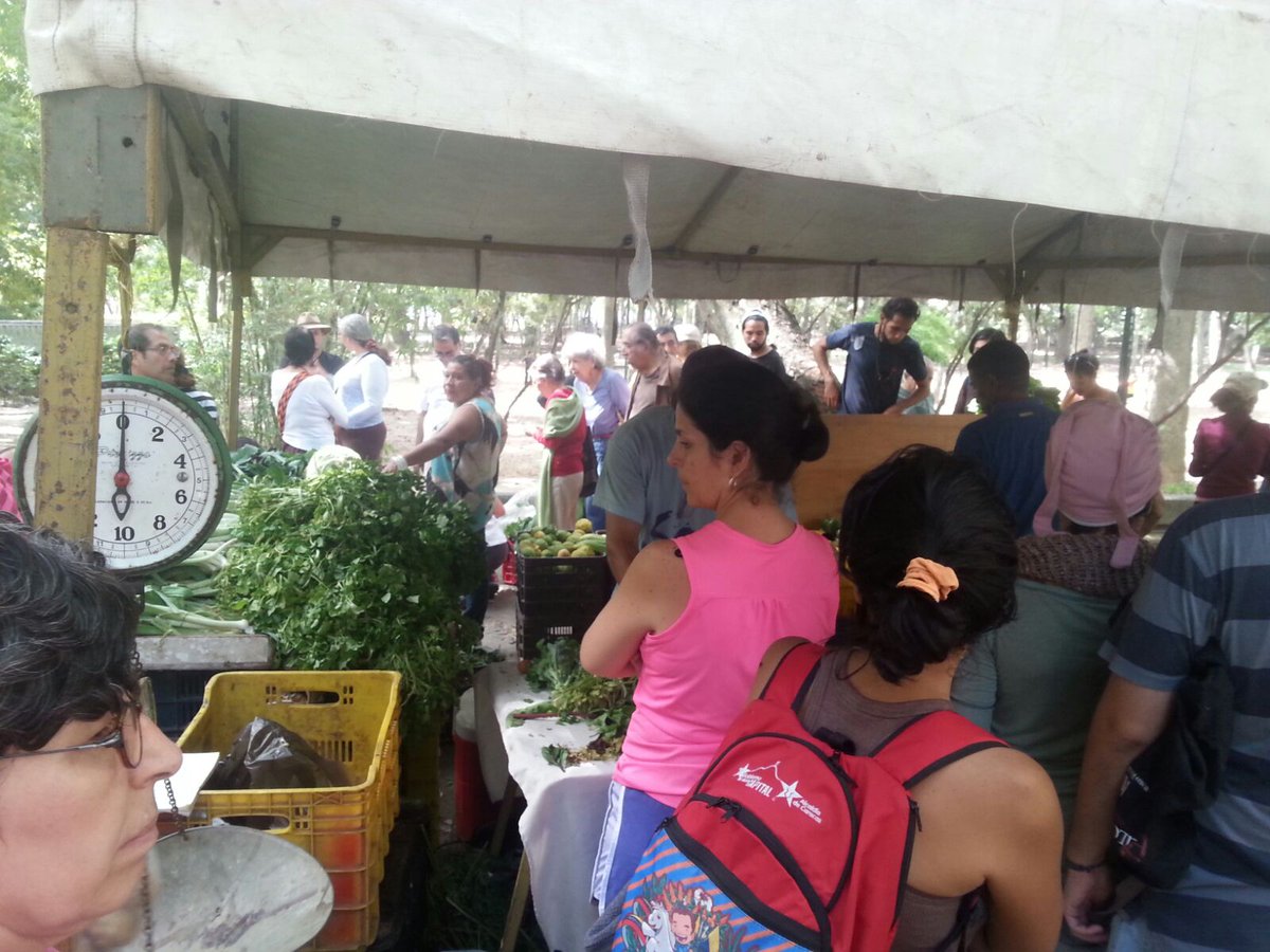 MinAgriculturaV's tweet photo. 6 toneladas de hortalizas se expenden con la participación de trabajadores agrícolas  en @Parqueloscaobos https://t.co/cTsVJ3sW0q