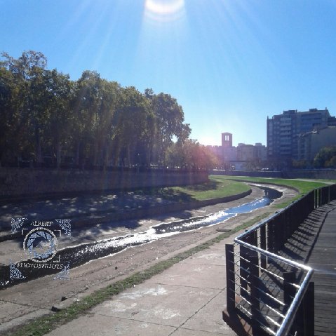 Alb_Photoshoots's tweet photo. #Sun bath in the #morning walk in #Girona, close to the #Onyar #river. #Catalunya #Catalonia https://t.co/hNvWoh74xC