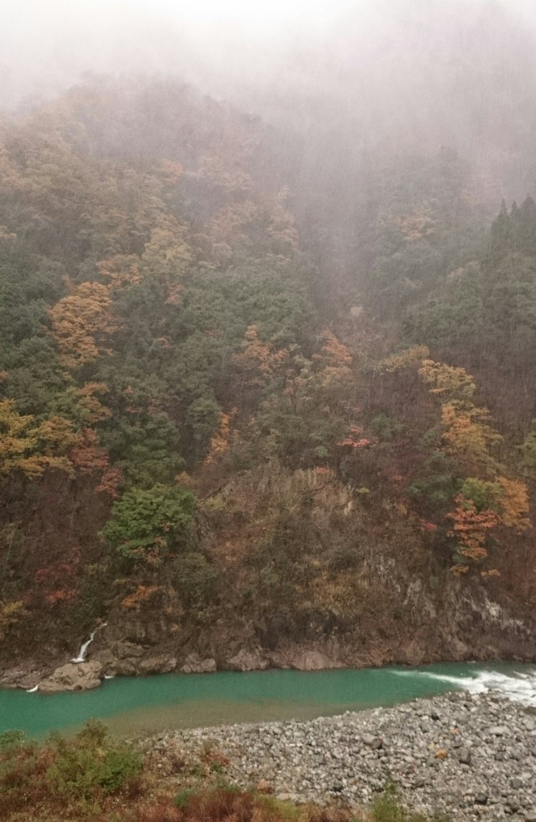 catinside's tweet photo. 昨日の黒部峡谷。トロッコ電車の始発、宇奈月は紅葉を残しつつ山頂だけ吹雪いている不思議な景色。奥に進むにつれ雪は増し、終点の欅平は真っ白でした。 https://t.co/5HRT2QoxP1