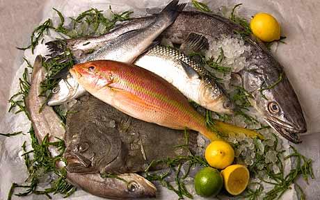 LoveyourFish's tweet photo. Have a great week everyone. Whatever you are up to... #Eatmorefish #seafood #shoplocal https://t.co/xSUT4lpZ4g