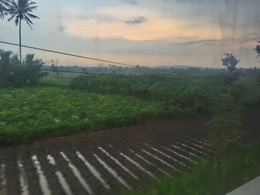 JelajahTani's tweet photo. Setiap lahan kosong dinegeri ini hampir semua dipergunakan utk bercocoktanam,pertanyaannya knp kita ttp impor pangan https://t.co/n1MGBCYROA