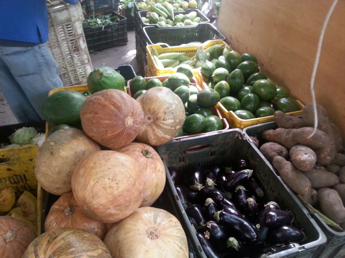 MinAgriculturaV's tweet photo. Voceros de la Gran @FeriaConuquera invitan a todos los caraqueños a que se acerquen al @Parqueloscaobos https://t.co/AKD3sEBDTG