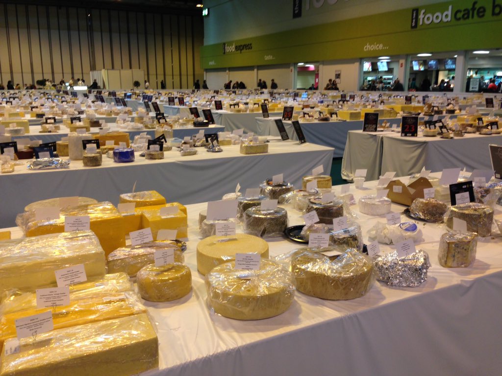 paxtonscheese tweet picture