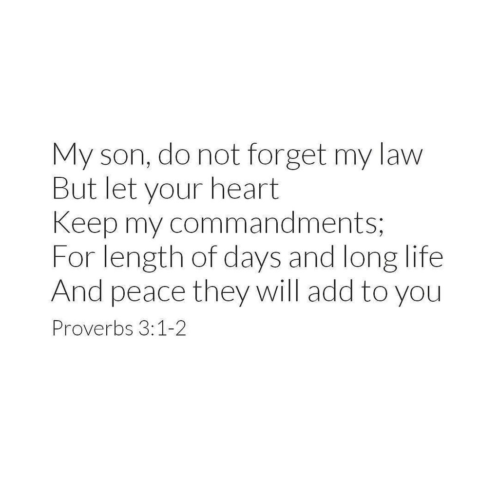 lucafex's tweet photo. God's law should always be in our hearts. Have a blessed day x
#Christian #proverbs #love #quotes #bibleproverbs #… https://t.co/WGLyvZWvhT