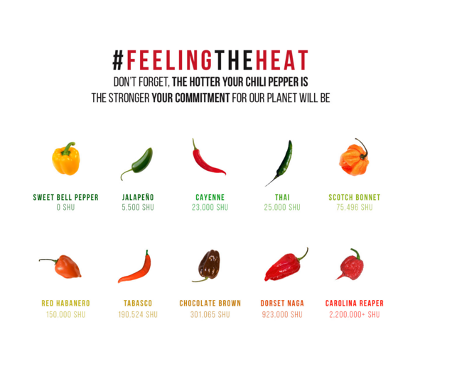 _futurefactor's tweet photo. Eat a chilli pepper to show the world the face of #climatechange: https://t.co/d5iJo627iS #FeelingTheHeat https://t.co/17wgychFvq