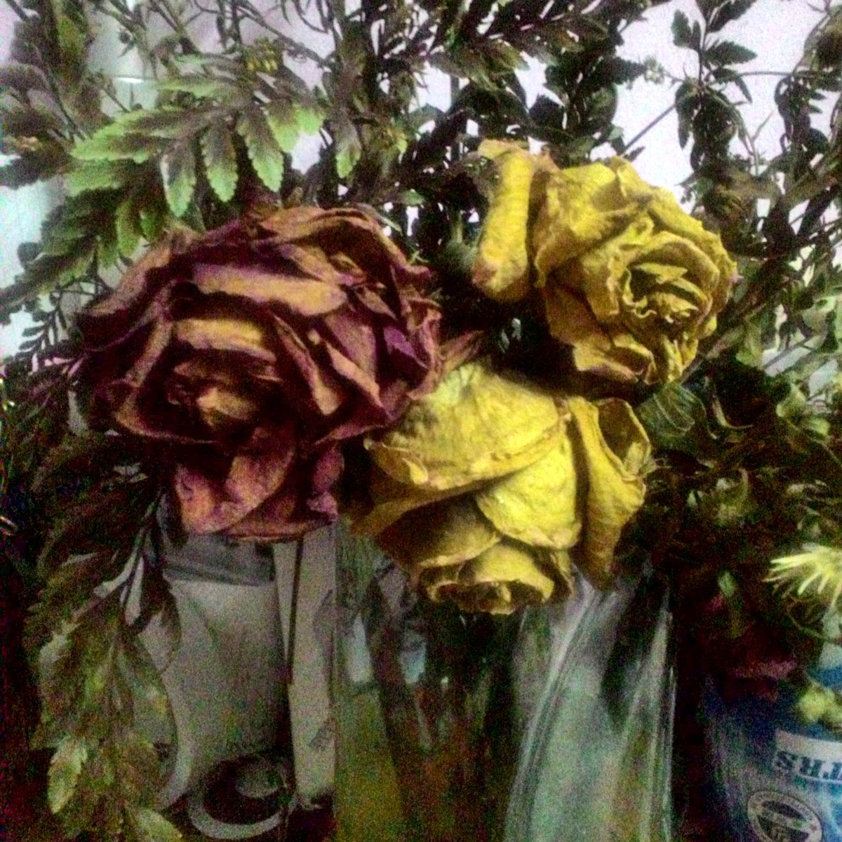 Sayupp Hashtag On Twitter