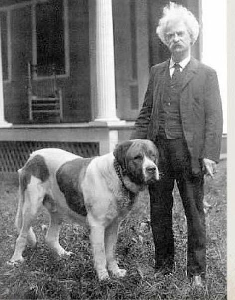 ﮼مها tweet media