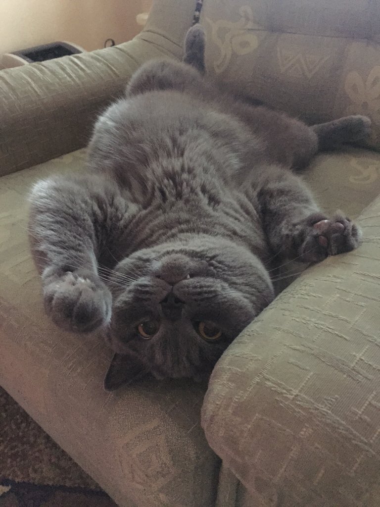 magda_siwik's tweet image. #PanKot