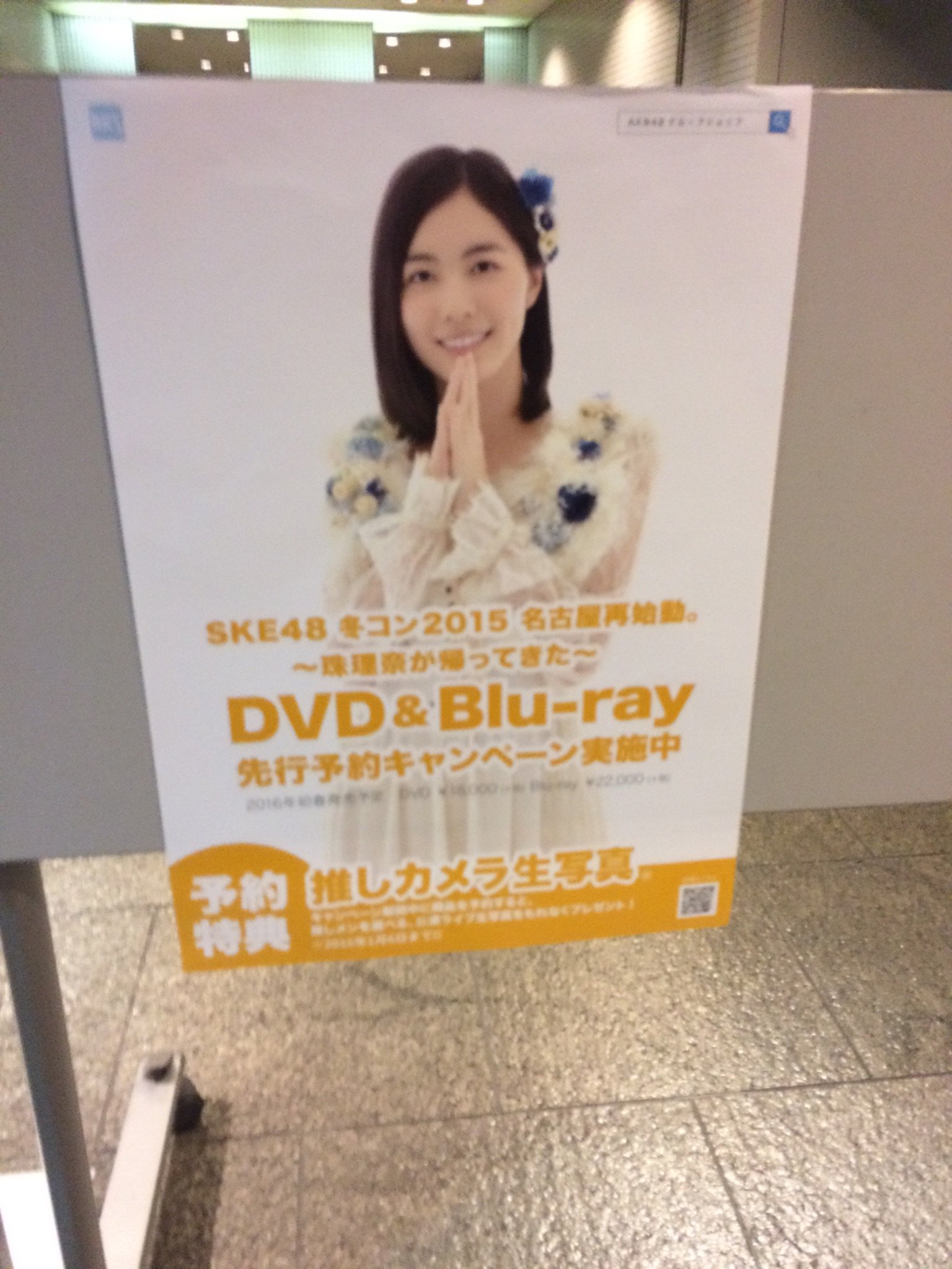 SKE48 冬コン2015名古屋再始動 珠理奈が帰って来た DVD