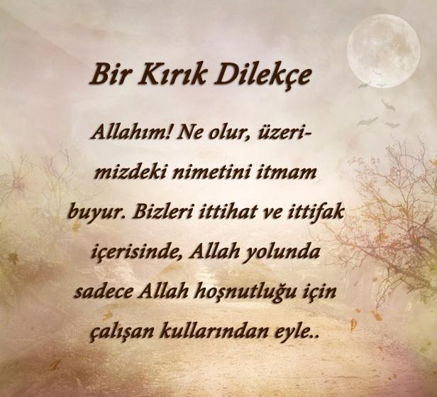 Bir kırık dilekçe.