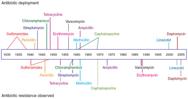 zestycasey's tweet photo. Antibiotic resistance evolves shockingly fast after introduction of the antibiotic! @oxyevo
https://t.co/f1WxfuvN7e https://t.co/DWnl6TjQGw