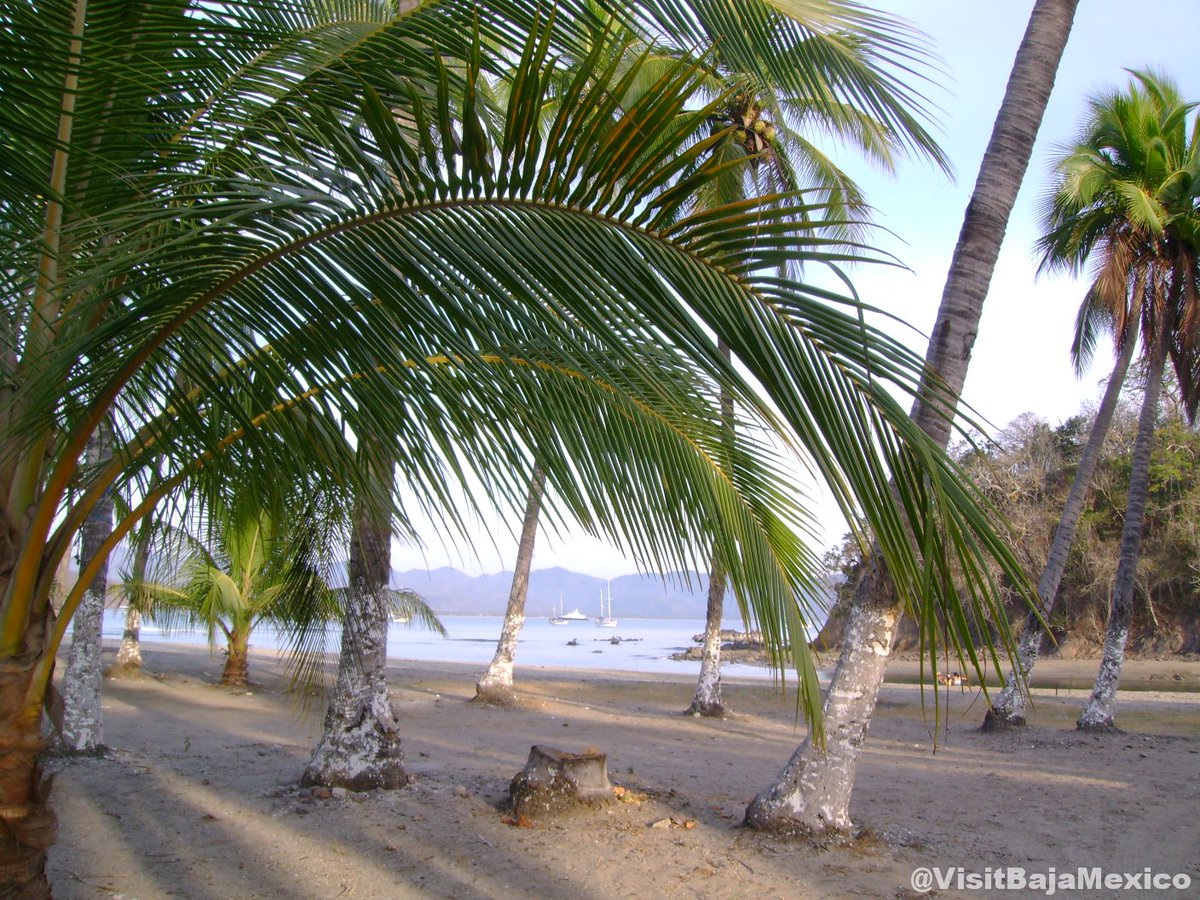 Visit Baja Mexico tweet media