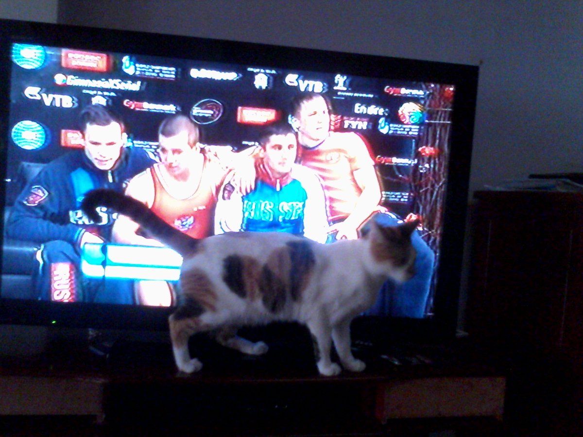 yesepigo's tweet photo. @SenalColombia #GimnasiaXSenal desde el águila  valle .. https://t.co/gG6OeULNpD