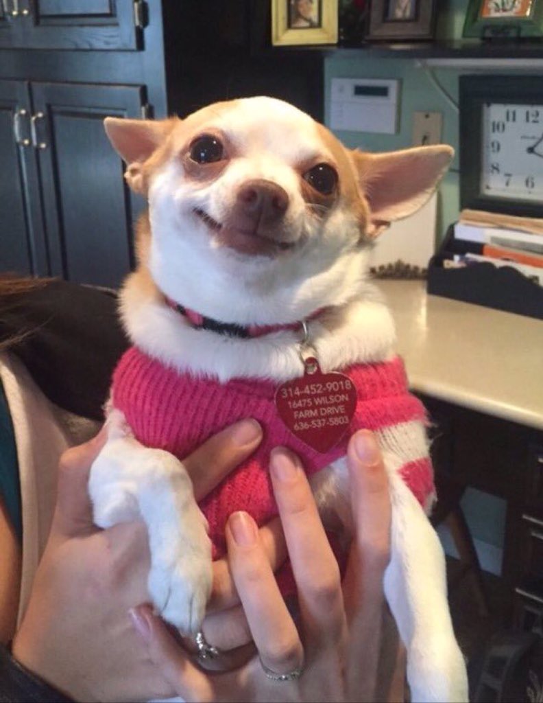 when your family is roasting u at dinner and ur grandma steps in and tells them to leave u alone