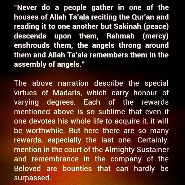 Quran Memorization tweet media