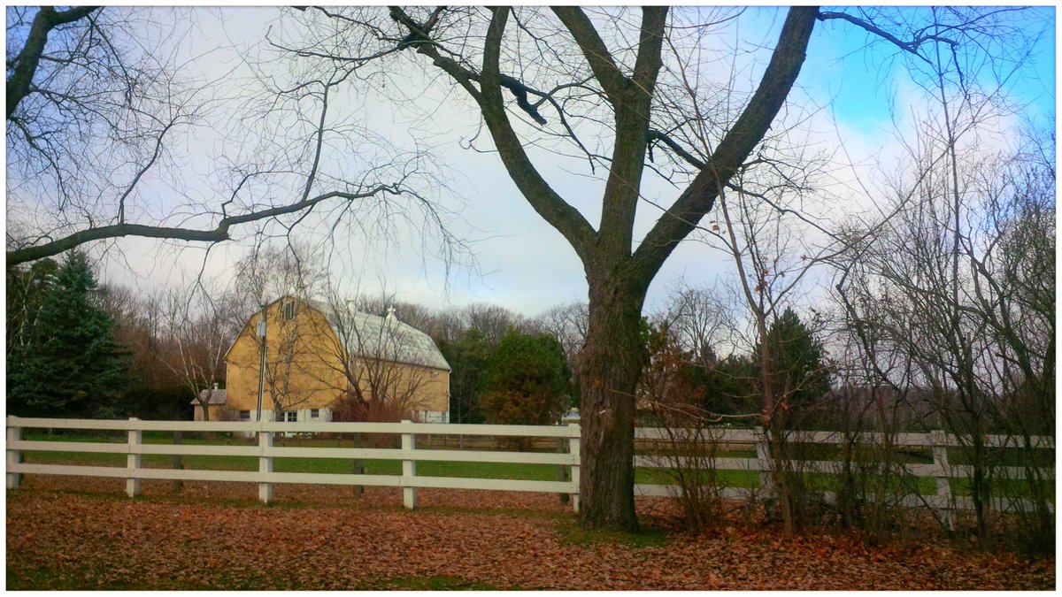 amlozyk's tweet photo. Barn. #stjohnsSideroad #auroraON #Ontario #lastfarm Photography by Anna Lozyk Romeo @amlozyk https://t.co/V4od8yUYty