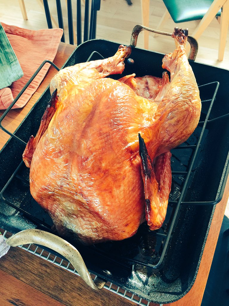 thelongmeander's tweet photo. Nailed it with the @ruthreichl high temp turkey recipe. Love! #mykitchenyear https://t.co/YQzDTHpWH2