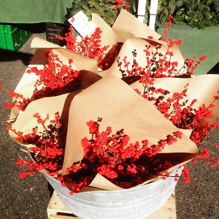 StillLifeFarm's tweet photo. Get your festive holiday decorations today!

JP, 12-3 
BPM, 8-8

@StillLifeFarm  @StillmansFarm @BosPublicMarket https://t.co/kSjSgZKn0c