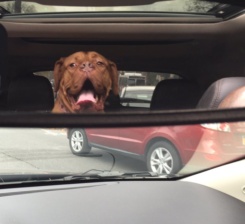 I always feel like somebody's watching me.