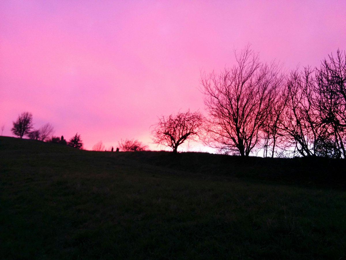 marco_lalla's tweet photo. #tramonto #colori #bologna #mybologna #sunset #sky #colors #sanluca #parco https://t.co/wFyDzfTNv1