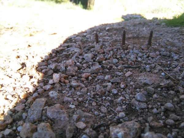 Si conoces al 💀💀💀 que colocó trampas para ciclistas en Fontiles #Alicante llama #SEPRONA062
Colabora y dale RT