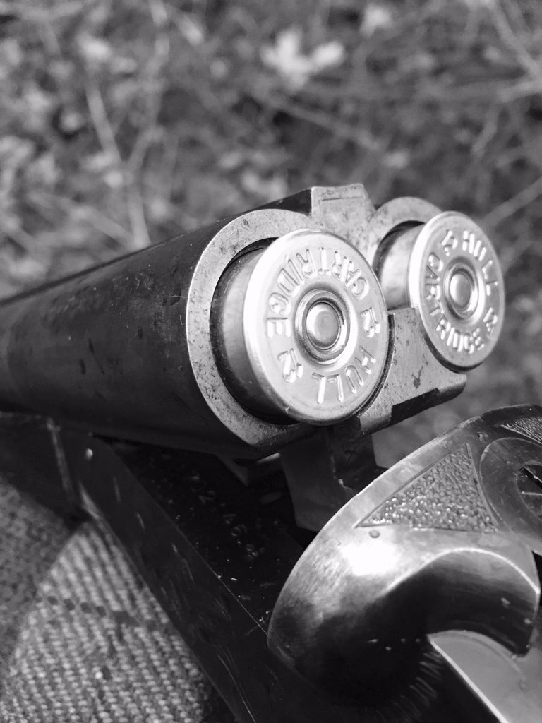 EastonOtley Farms tweet media