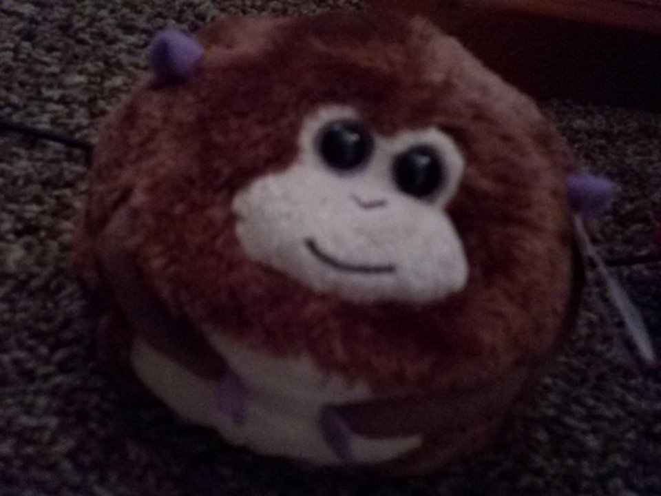 EmilyKimble's tweet photo. It's name is  Bananas. https://t.co/QdhTDHmwcX
