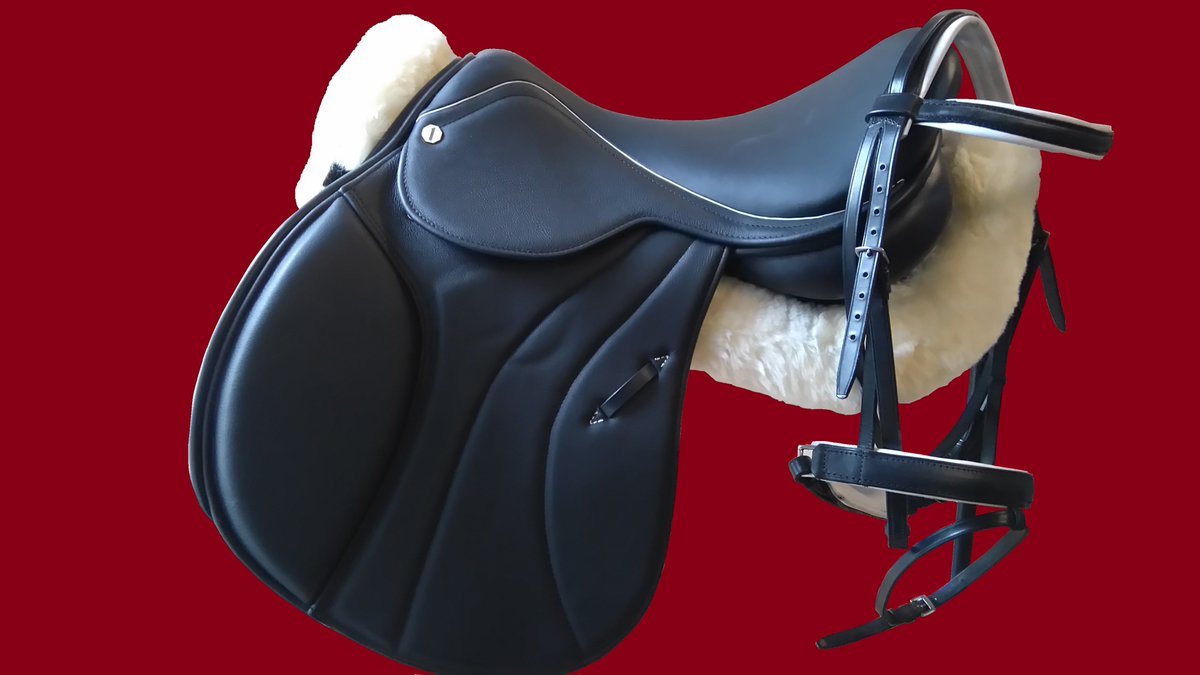 This Complete Set, Saddle/Bridle/Sheepskin Plus Hy Comfort Girth, Matching English leathers and Irons. £1,025!!!